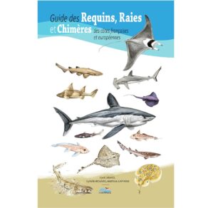 guide requins raies