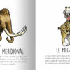 Les animaux préhistoriques du sud de la France – Image 11