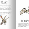 Les animaux préhistoriques du sud de la France – Image 5