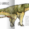 Les animaux préhistoriques du sud de la France – Image 6