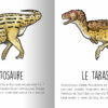 Les animaux préhistoriques du sud de la France – Image 7