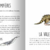 Les animaux préhistoriques du sud de la France – Image 9