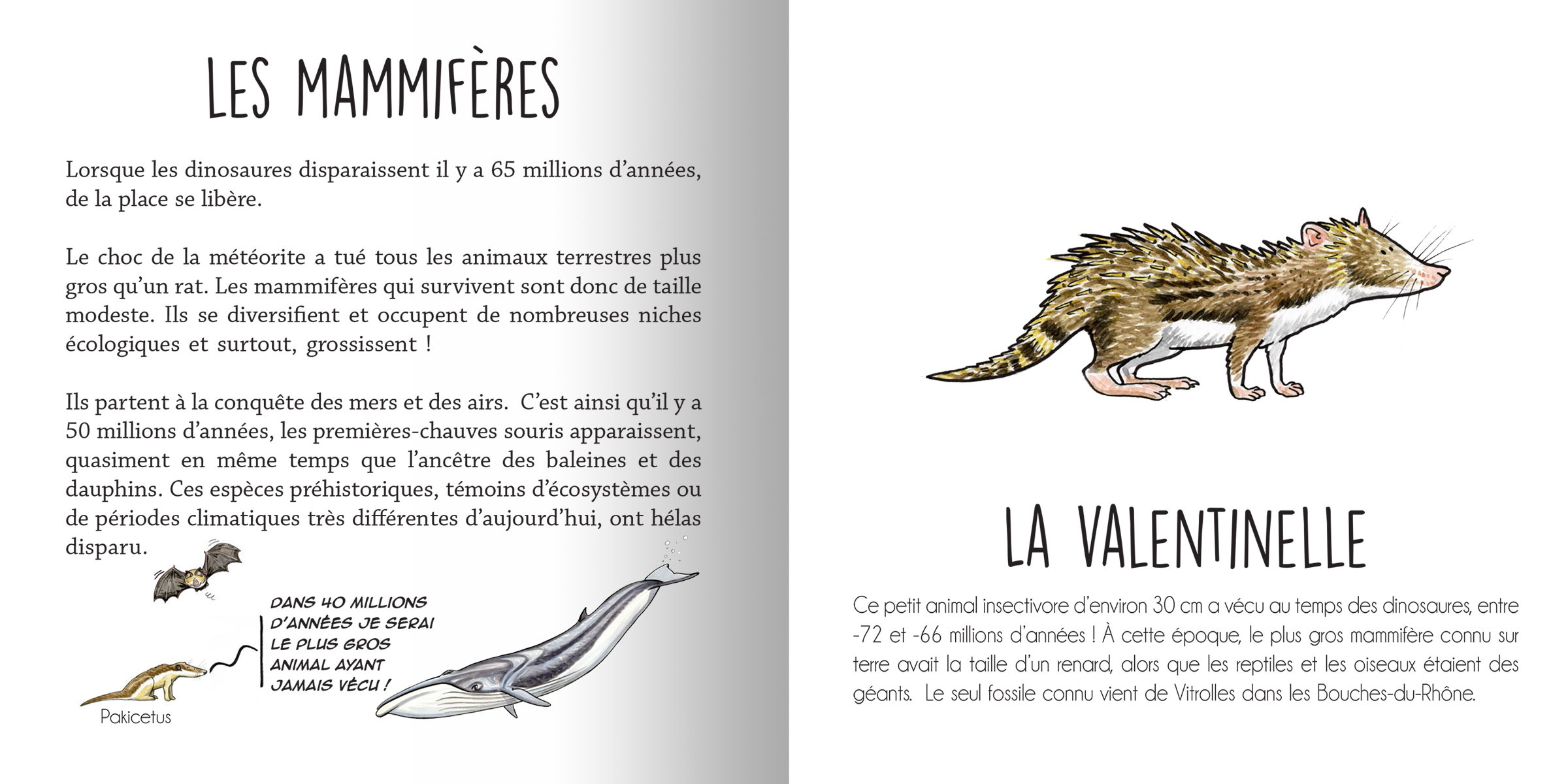 Les animaux préhistoriques du sud de la France - Editions