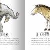 Les animaux préhistoriques du sud de la France – Image 10