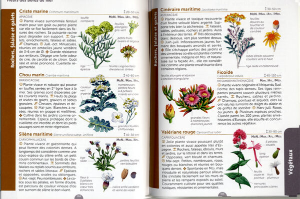 Le Guide Nature à la Mer – Image 5