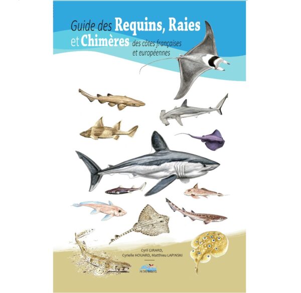 guide requins raies