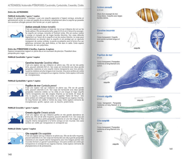 guides limaces de mer 5