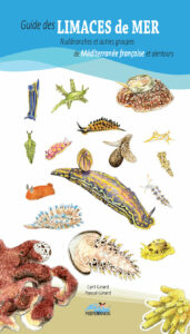 couverture guide limaces de mer mediterranée