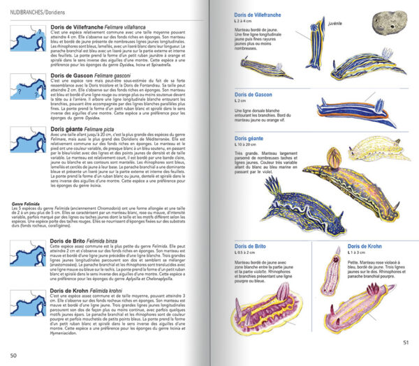 guides limaces de mer 2