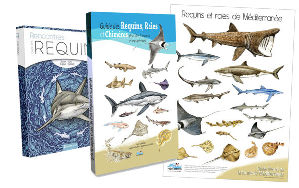 coffret « requins et raies »