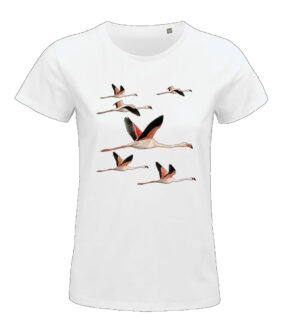 T-shirt Flamants Femme
