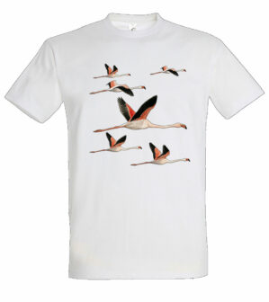 T-shirt Flamants Homme