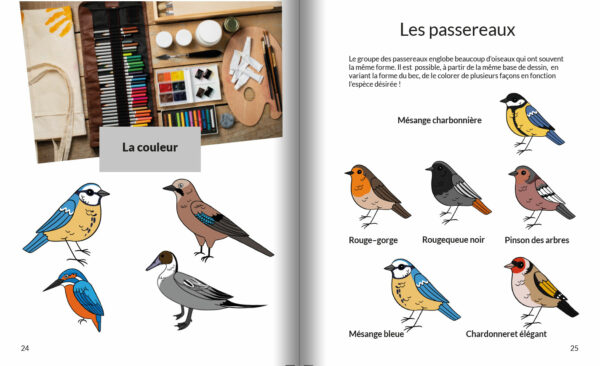 Apprendre à dessiner les oiseaux – Image 4